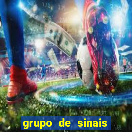 grupo de sinais fortune rabbit